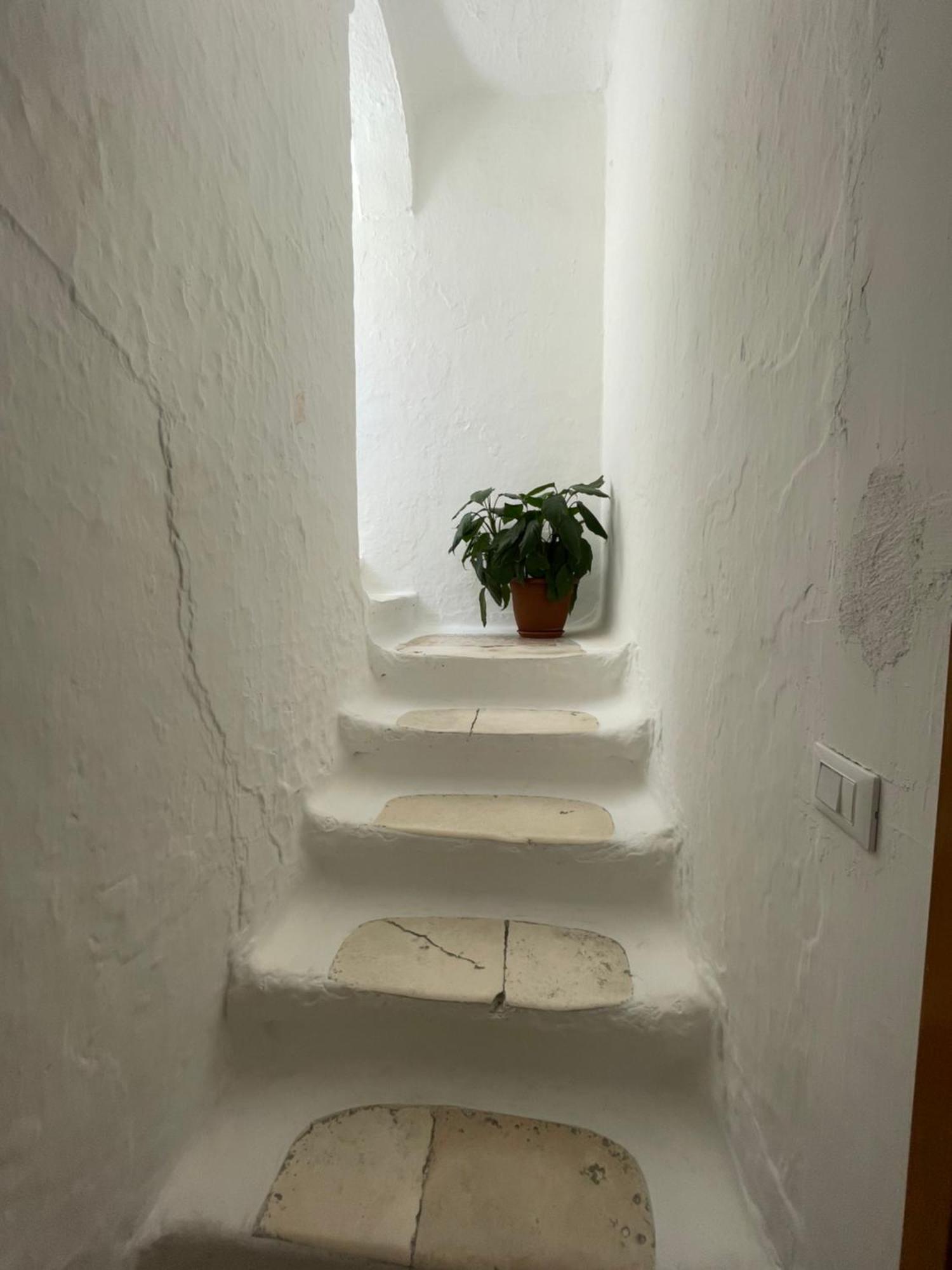 Dimora Santa Teresa Apartment Monopoli